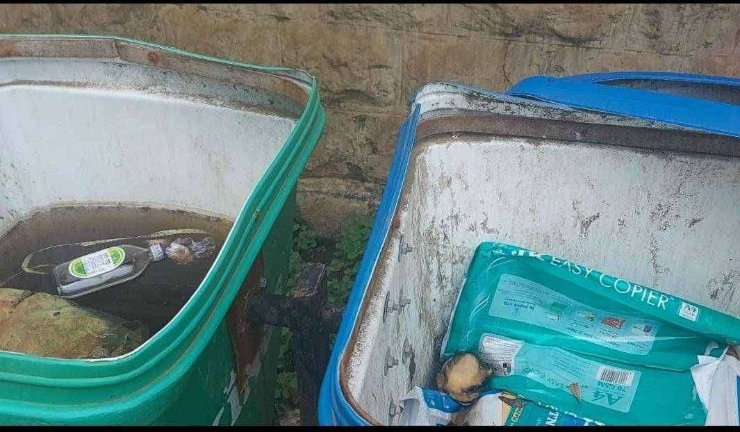 ?️ ठोस प्रहार ब्रेकिंग..अमळनेर पंचायत समितीचे प्रवेशद्वार बनले स्विमिंग पूल..प्रवेशद्वारा जवळील कचऱ्याची कुंडी बनली रोगाचे माहेरघर