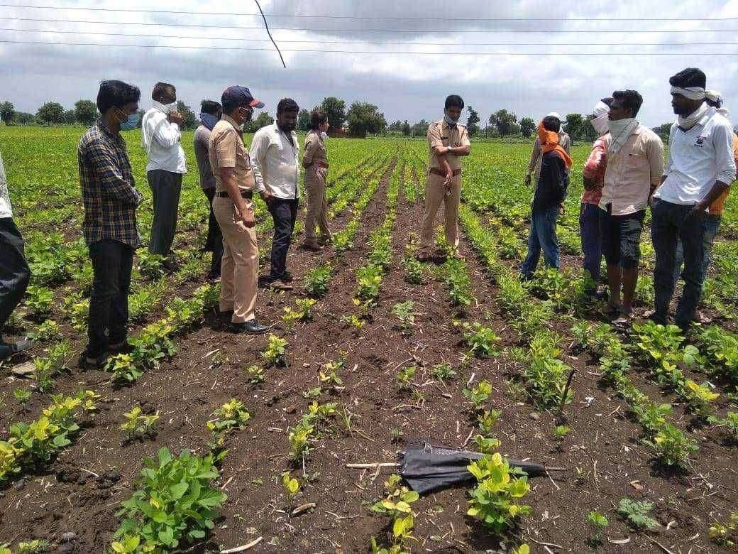 आलेगांव येथे चोरांचा धुमाकूळ