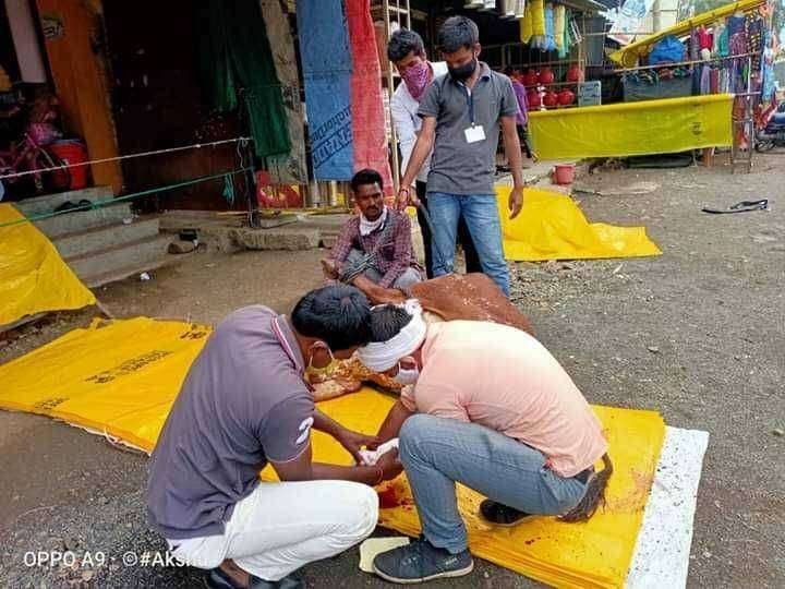 कौतुकास्पद कळंबच्या युवकांचे जखमी बैलावर औषधोपचार