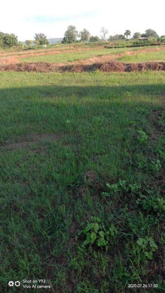 पावसा अभावी रोवणी खोळंबली:शेतकऱ्यांना दमदार पावसाची प्रतीक्षा...