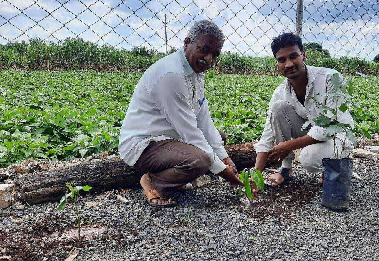 जागतिक निसर्ग संवर्धन दिवसानिमित्त प्रतिष्ठाण कडून वृक्षांचे संगोपन