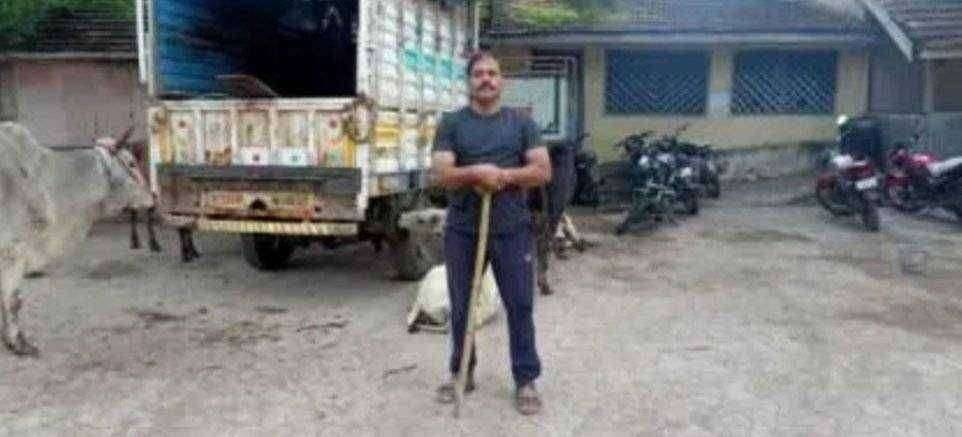 गोवंश कुर्बानीसाठी 6 बैलांची अवैध वाहतूक करणारे वाहन यावल पोलिसांनी केले जप्त