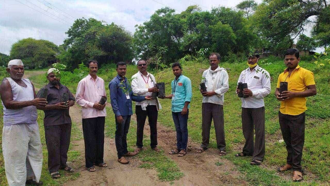 हनूमंत भाऊ पाटुळे यांच्या वाढदिवसानिमित्त स्मशानभूमीत केली वृक्षलागवड