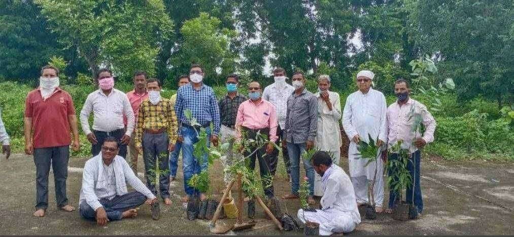 कृती फाऊंडेशन व इन्सानियत ग्रुपचा अभिनव उपक्रम; आदिवासी दिनानिमित्त वृक्षदिंडी काढत केले वृक्षरोपण