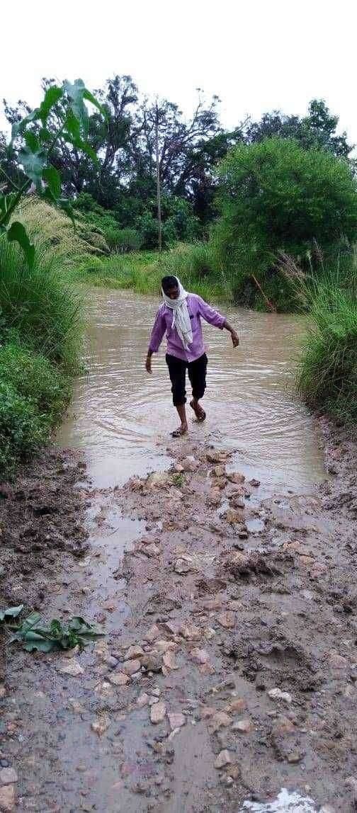 ?️ कोणी रस्ता देता का रस्ता..!! चिखला पार या गावचा रस्ता कुठे ? लोकांना पावसाळ्यात शोधावी लागते वाट।
