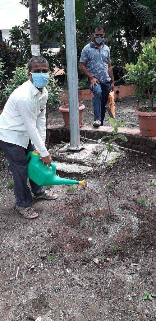 स्वेरी परिवाराकडून लाॅकडाऊनमध्ये वृक्षारोपण करून सामाजिक बांधिलकीची जपणूक