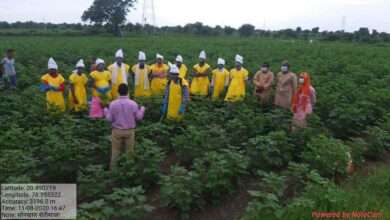 सोनखास येथे कौशल्य प्रशिक्षण आयोजित .....