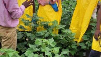 सोनखास येथे कौशल्य प्रशिक्षण आयोजित