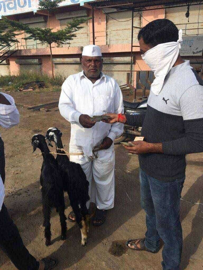 इंदापूर तालुक्यातील भिगवण येथील शेळी/मेंढी बाजार सुरू