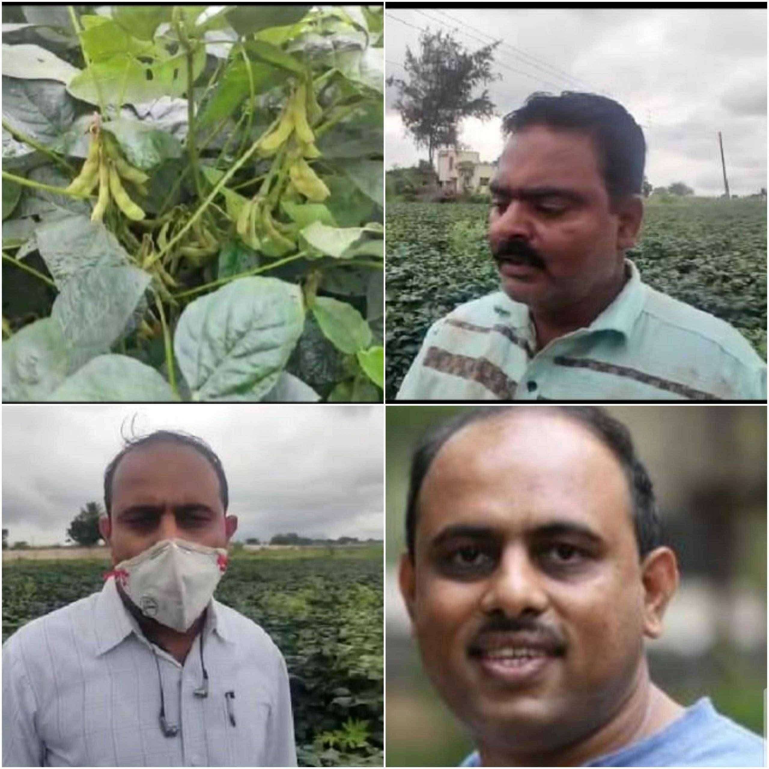 सोयाबीन उत्पादक शेतकऱ्यांच्या मनात संभ्रम निर्माण पिके येता का नाही