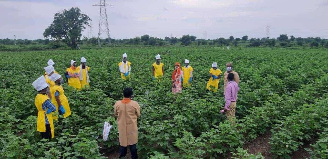 सोनखास येथे कौशल्य प्रशिक्षण आयोजित .....