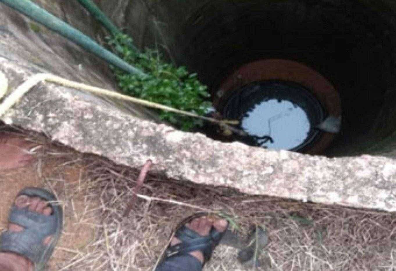 विहिरीत पडून एकाच मृत्यू