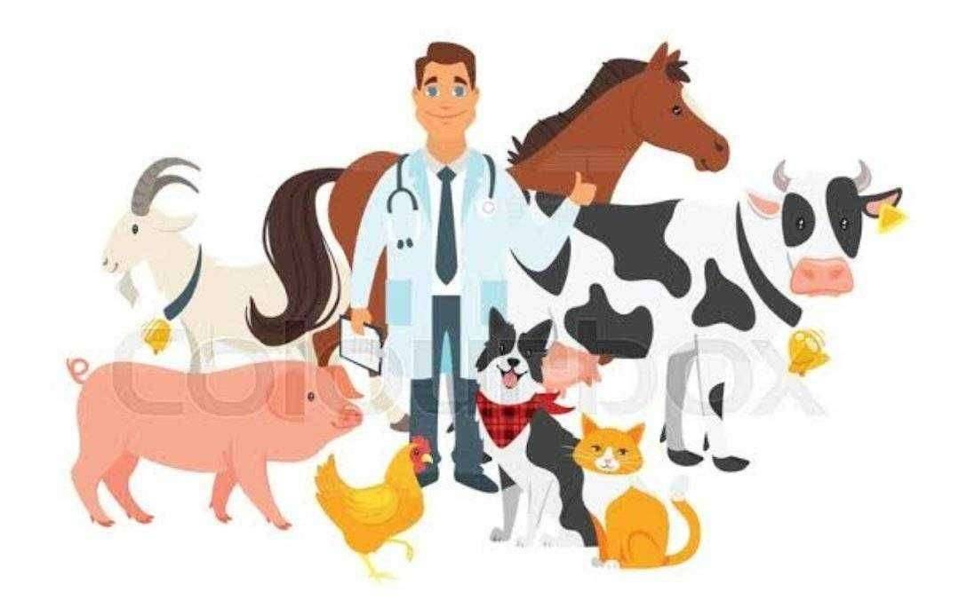 खाजगी पशू वैद्यकीय डॉक्टरांचा कोरोना विमा योजनेत समावेश करावा... खाजगी पशू वैद्यकीय संघटनेने केली मागणी