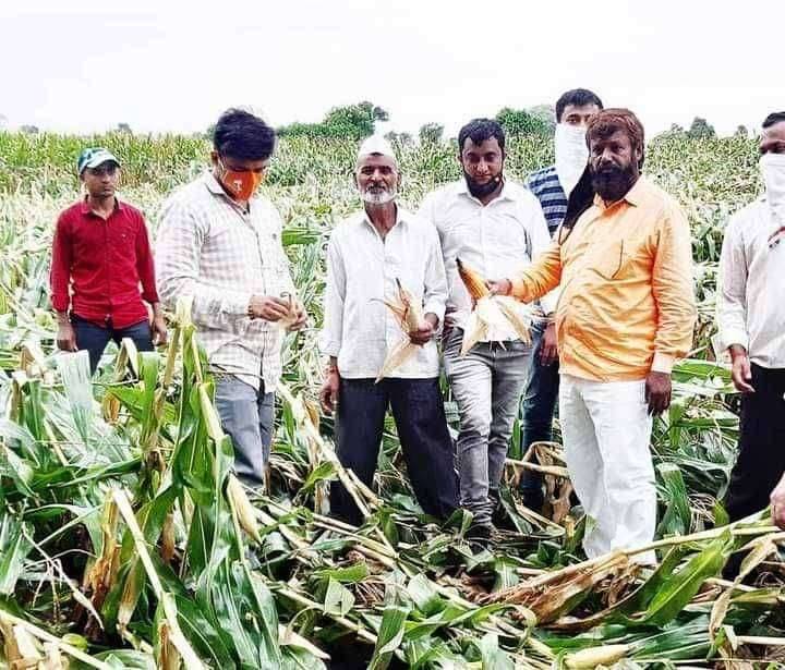 अवकाळी पावसामुळे झालेल्या पिंकाचे पंचनामे करा...