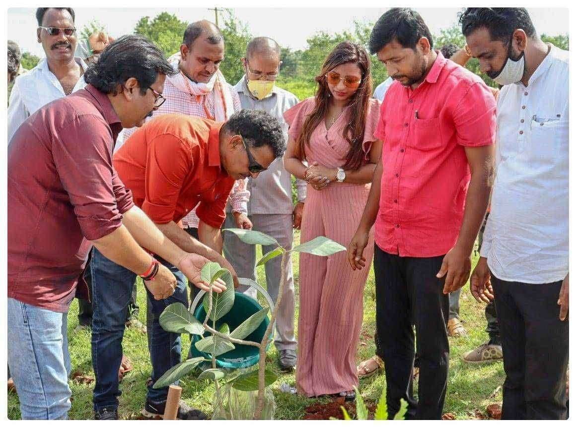 नाशिक जिल्ह्यातील दिंडोरी ता येथे सह्याद्री देवराई  संस्थेच्या वतीने सुप्रसिद्ध अभिनेते सयाजी शिंदे यांच्या हस्ते वृक्षारोपण