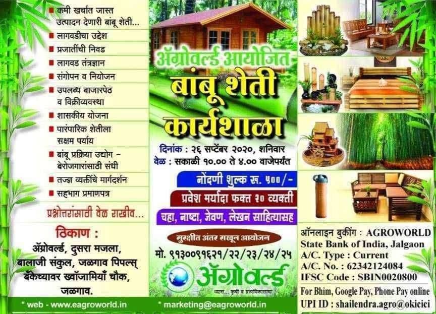 अॅग्रोवर्ल्डची जळगावात तिसरी बांबू कार्यशाळा शनिवारी दि.२६ सप्टेंबर रोजी; नावनोंदणी सुरू