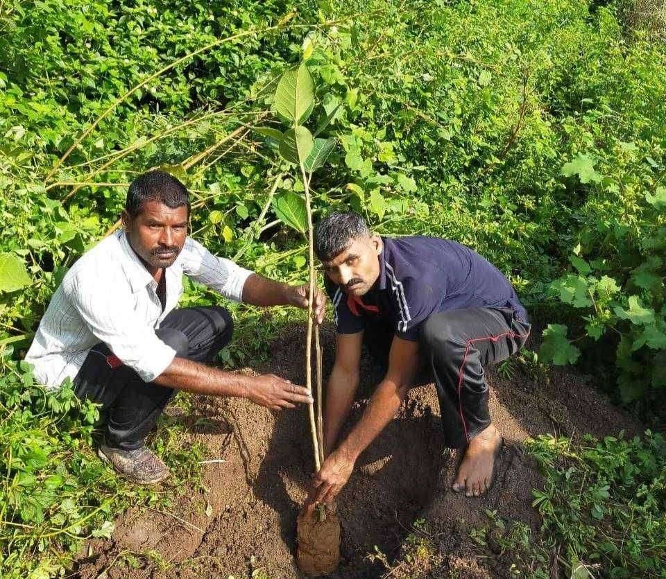 ब्राम्हणशेवगे येथे पर्यावरण रक्षणाची नवी पहाट : वडिलांचे स्मरणार्थ स्मशानभूमीत केले वृक्षारोपण रक्षा पाण्यात विसर्जित न करता दिली झाडाना