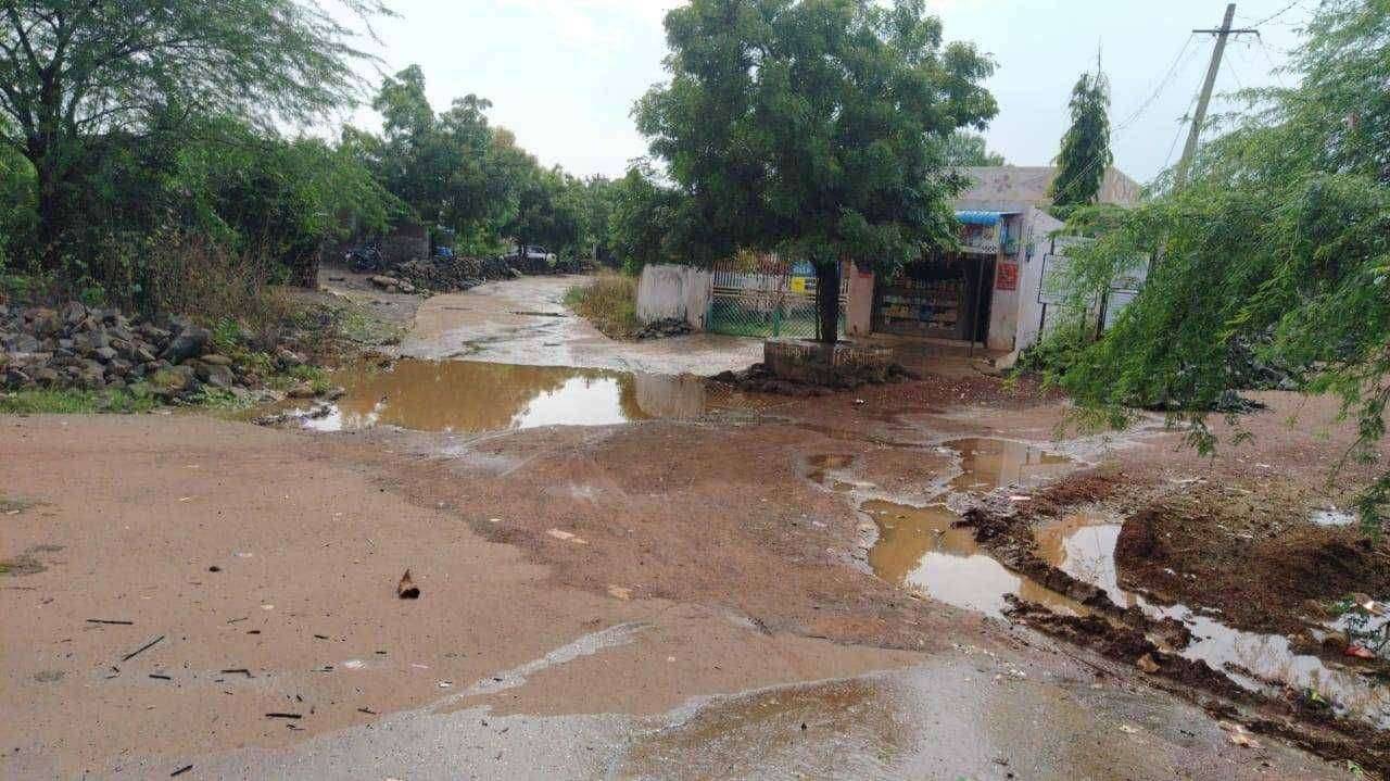 नाल्याचे साडपाणी रस्त्यावर आल्याने दुर्गंधी व डेंग्यू