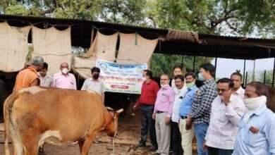 राष्ट्रीय पशुरोग नियंत्रण कार्यक्रम,अंतर्गत लाळखुरकत रोगाचे समुळ उच्चाटन करण्यासाठी रोगप्रतीबंधक लसीकरणाचा एरंडोल येथे शुभारंभ