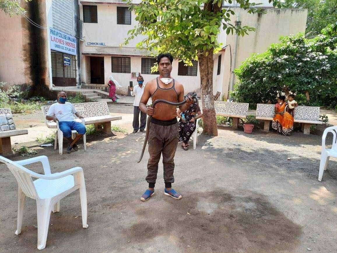 ? अमळनेर प्रताप कोविड सेंटर ला निघाला 6 फुटाचा साप...सर्पमित्र गणेश शिंगारे यांनी समय सुचकता दाखवत पकडला सर्प...