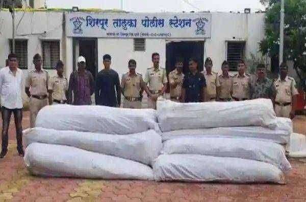 ?️ धुळ्यात पोलिसांनी गांजाची शेती उद्ध्वस्त करत मोठी कारवाई.. तब्बल 6 लाख रुपयांची गांजाची रोपं जप्त