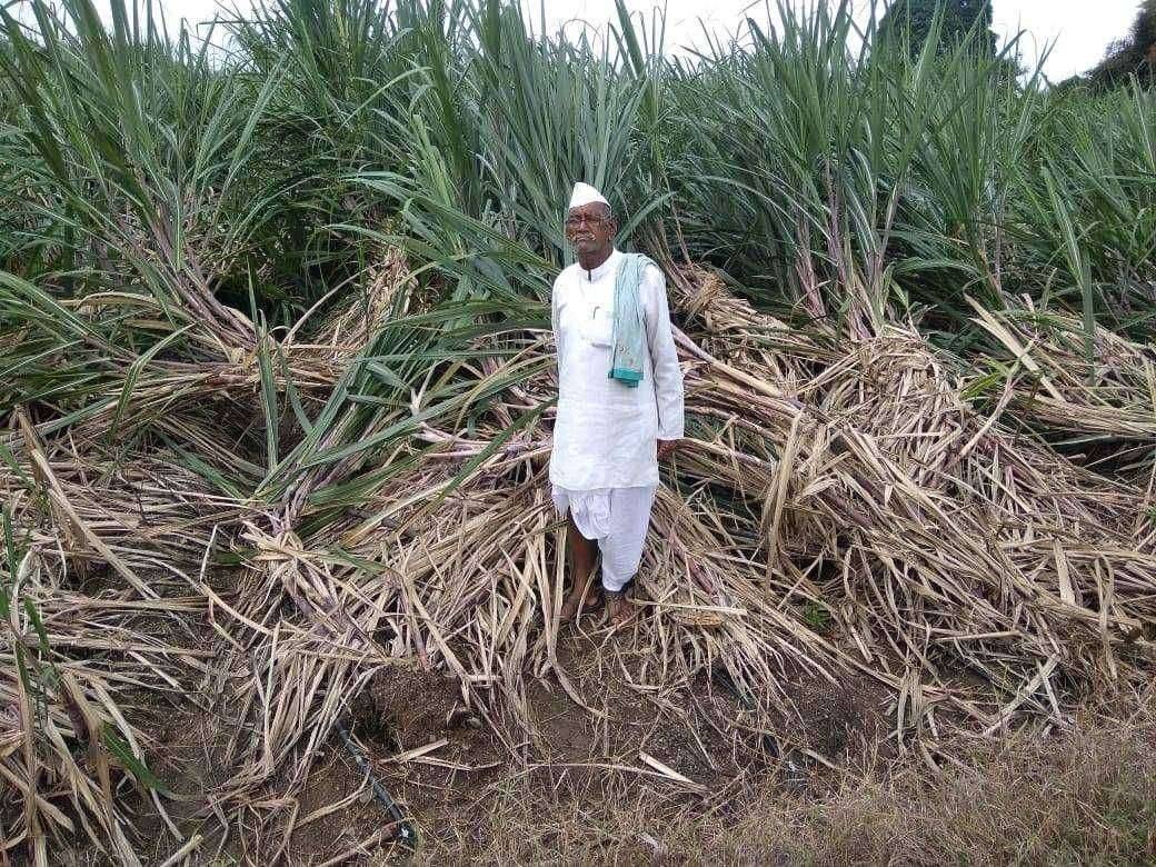 परतीच्या पावसाने तोंडाशी आलेला घास हिरावला