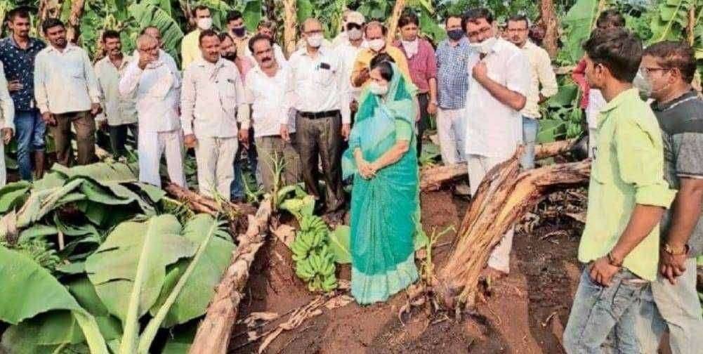 चोपडा तालुक्याला वादळासह पावसाचा पुन्हा बसला तडाखा..