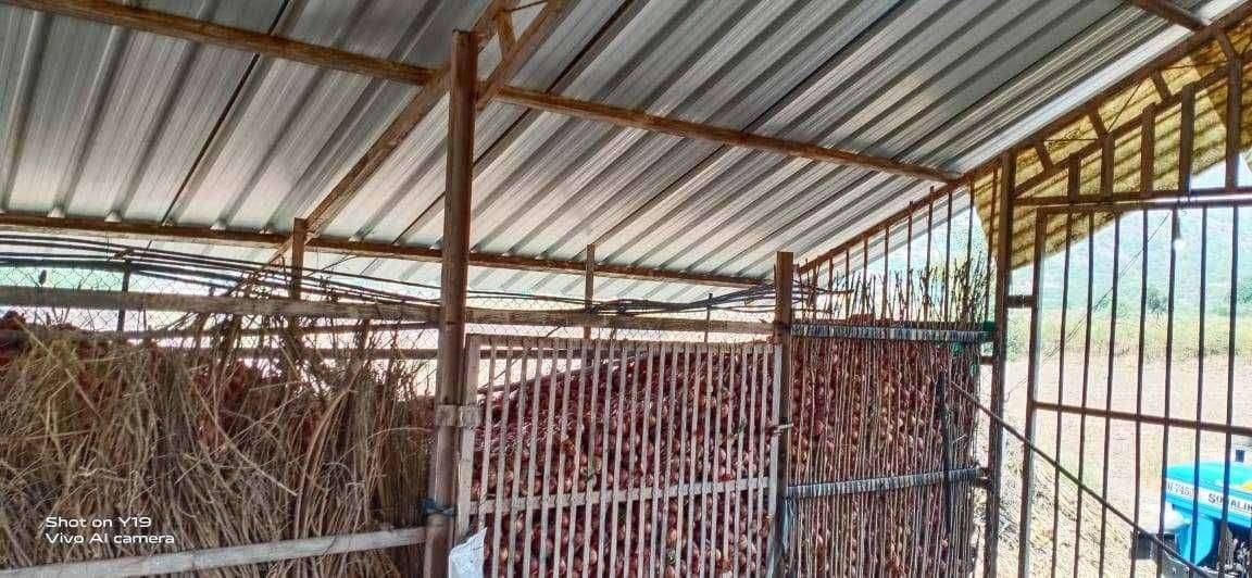 खामखेडा येथे कांदा चाळी तुन कांदा चोरीस गेल्याने भीतीचे वातावरण देवळा तालुक्यात कांदाचोरीचे सत्र वाढल्याने कांदा उत्पादक शेतकरी हैराण झाला आहे.