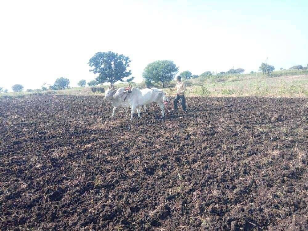 अतिवृष्टीने खरीप हंगाम गेला तोट्यात रब्बी हंगामावरती धरून आशा शेतकऱ्यांची रब्बीची पेरणी जोरात