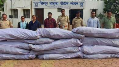 शिरपूर तालुक्यातील उमरदा येथे पोलिसांनी टाकलेल्या छाप्यात 14 लाख रुपयांचा ओला गांजा जप्त