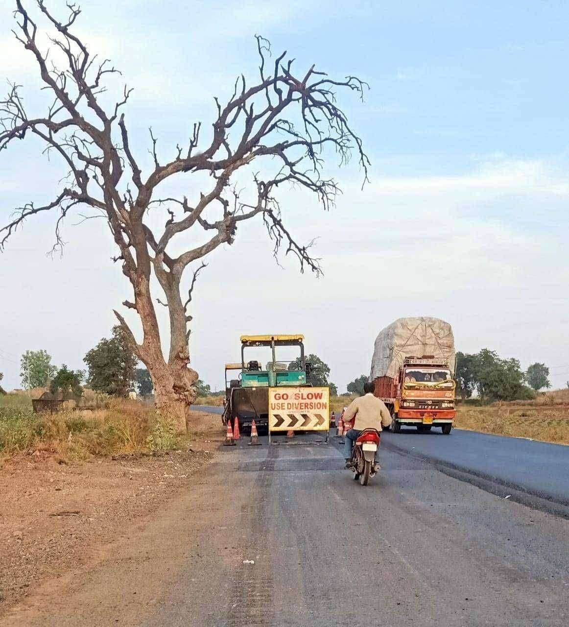 अमळनेर धुळे रस्त्यावरील कोरडे वृक्ष वाहनधारकांन साठी जीवावर बीतू शकते