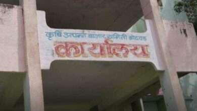 बोदवड बाजार समितीमध्ये बैलगाडीतुन कापसाची चोरी