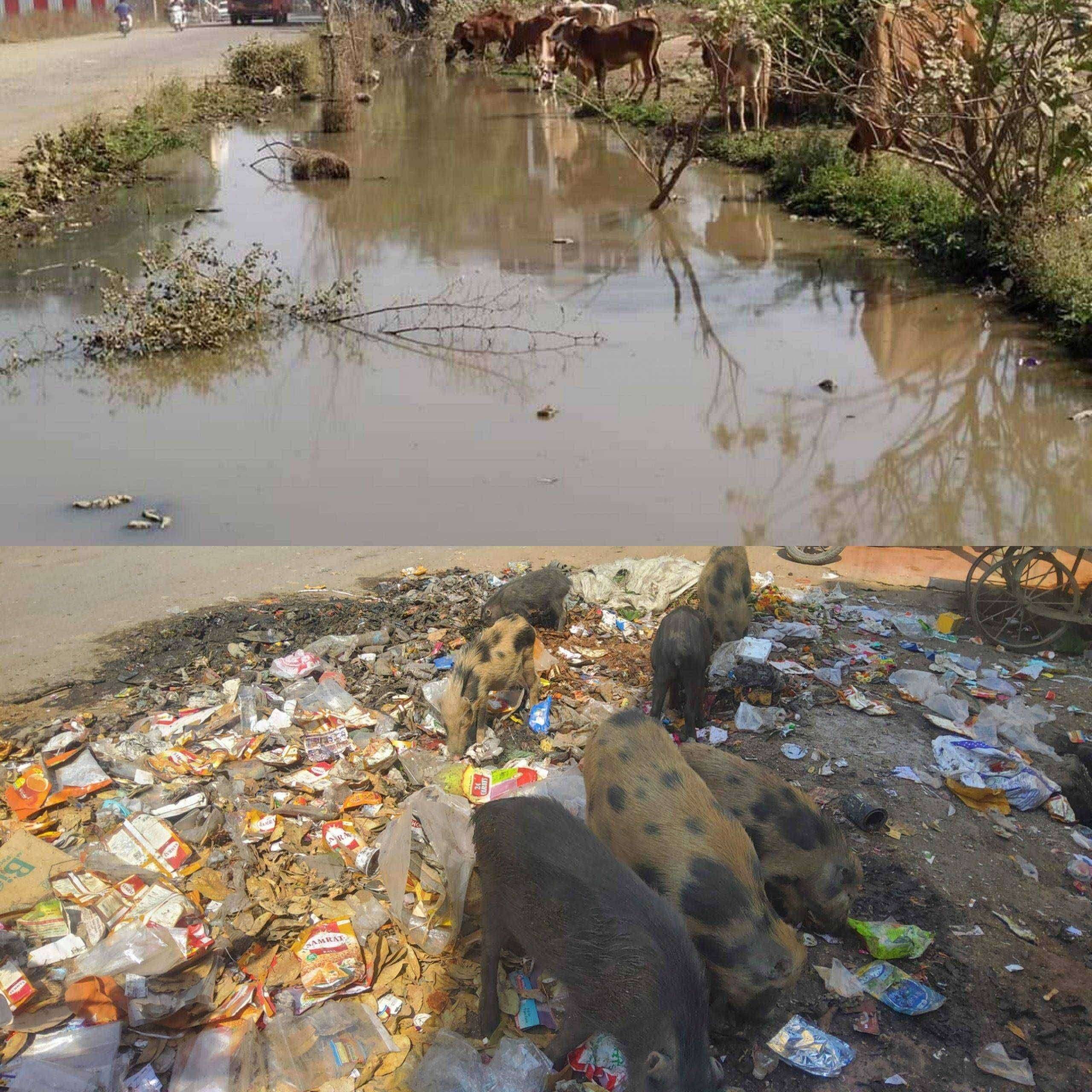 ?️अमळनेर कट्टा..ओ दादा तो उचा खांब ते टाका पन जराशी जमिनीवर अमयनेर मजारली घान बी देखा.. व्हॉट इज थिस..?त्या डुकरे..!ते साचेल पानी..!और तुम..