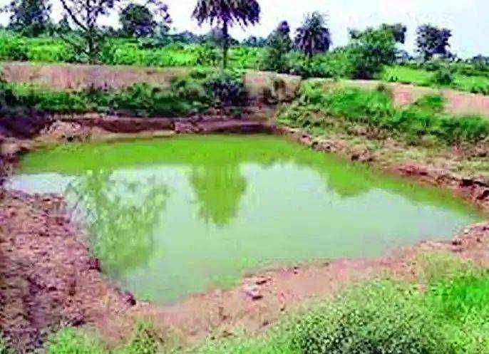 ?ब्रेकिंग  जलयुक्त च्या 18 हजार कामांच्या चौकशीचा फार्स