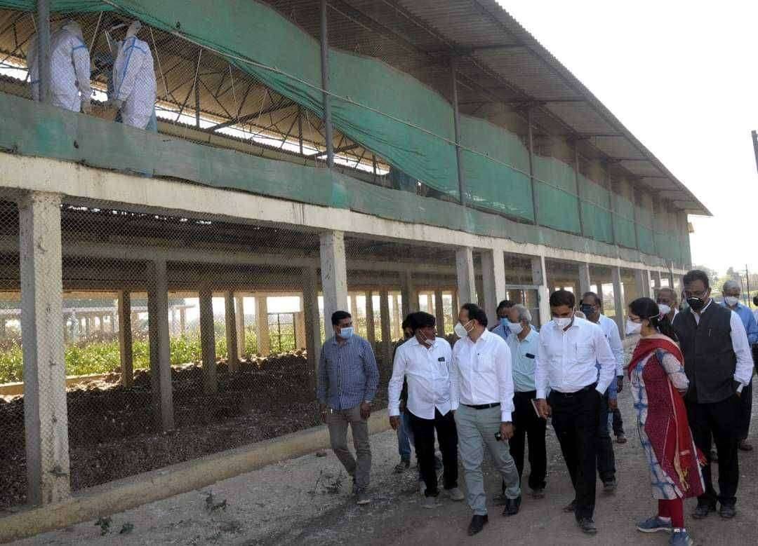 जैव सुरक्षा उपाययोजनेची माहिती पोल्ट्री व्यावसायिकांना द्या -सचिंद्र प्रताप सिंह