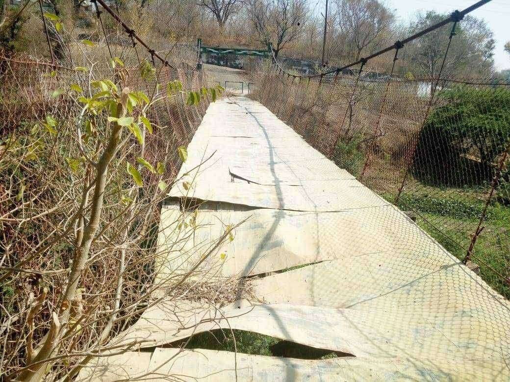 पाल येथील‌ विश्रामगृह परिसरातील साफसफाईचा आभाव !... वन विभागाचे अधिकारी कडून जाणीवपूर्वक दुर्लक्ष