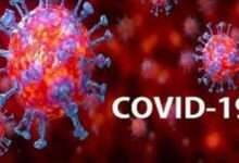 कोरोनाचे राजकारण नको,समाजकारण करा- सुशिलकुमार पावरा