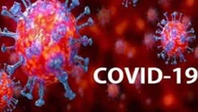 कोरोनाचे राजकारण नको,समाजकारण करा- सुशिलकुमार पावरा