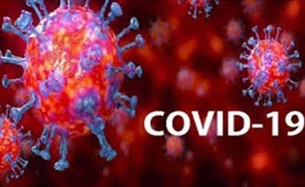 कोरोनाचे राजकारण नको,समाजकारण करा- सुशिलकुमार पावरा