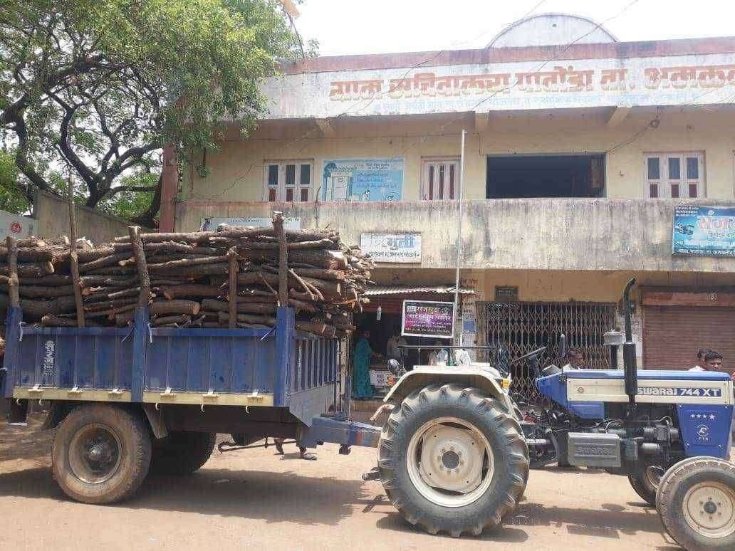 ?️ अमळनेर कट्टा ... पातोंडा जळोद शिवारात विटभट्ट्यांसाठी हिरव्यागार झाडांची बेसूमार कत्तल लाकूड शेतात उपसून वनविभागाच्या हातावर तुरी