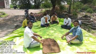 बिरवली येथे कृषी विभागाच्या वतीने सोयाबीन उगवण क्षमता तपासणी प्रात्यक्षिक..