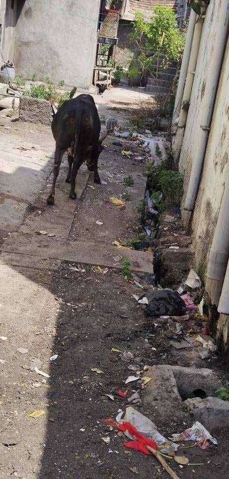 ?️अमळनेर कट्टा...आरोग्य विभागाला काही काम नसेल तर आरोग्य विभाग बरखास्त करा..!अधिकारी आणि कर्मचाऱ्यांना घरी पाठवा..!फुकटचा पगार देऊन न प का पोसते आरोग्य विभाग..?