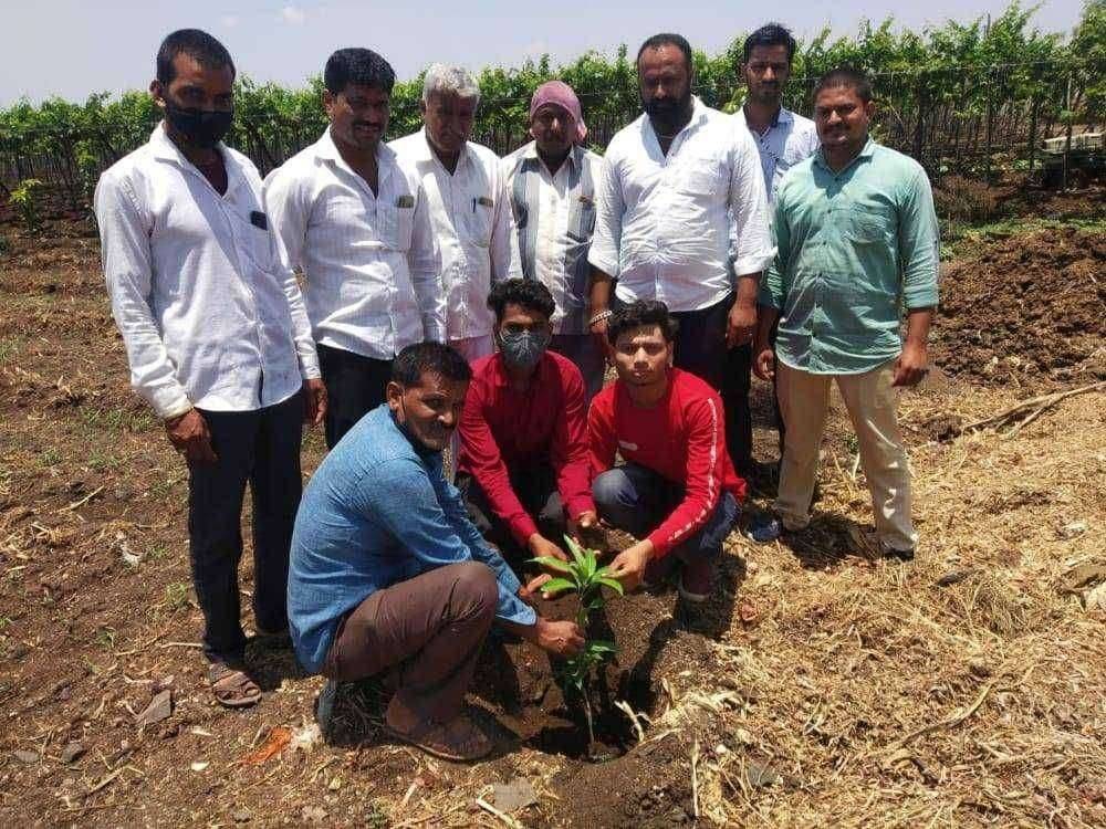 निसर्गचाहता युवकांचा वाढदिवस ५० वृक्ष लागवड करून अनोख्या पद्धतीने साजरा...