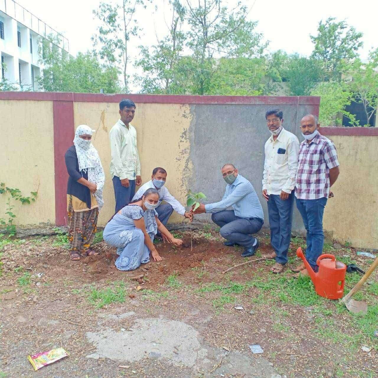 "नाईक महाविद्यालयात पर्यावरण पर्यावरण दिन साजरा"