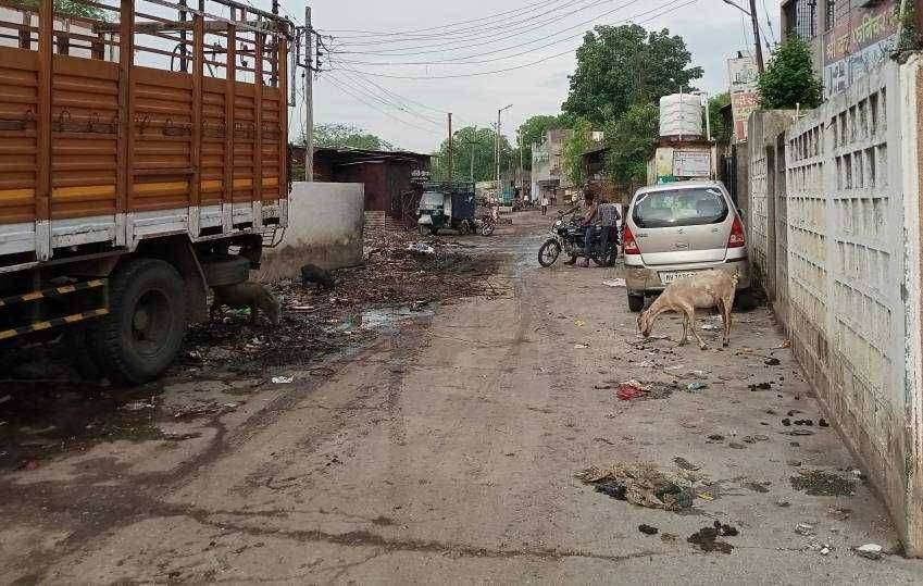 माजी नगराध्यक्ष व विद्यमान नगरसेवक राजेश वानखेडे यांच्या घरासमोर घाणीचे साम्राज्य...! सावदा नगरपालिकेच्या अक्षम्य दुर्लक्ष