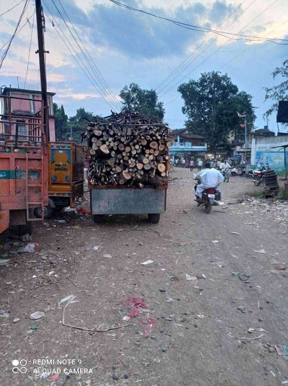 यावल सह तालुक्यात अवैध्द वृक्षाची वाहतुक थांबवावी . मनसे जिल्हा अध्यक्ष चेतन अढळकर