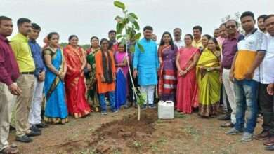 ब्राम्हणशेवगे येथील निसर्गटेकडी परिसरात जोडीने वटवृक्ष लागवड करत महिलांनी साजरी केली वटसावित्री पौर्णिमा खासदार उन्मेष पाटील यांनीही वटवृक्ष लाऊन केला वाढदिवस साजरा