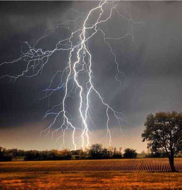 अतिवृष्टीच्या पार्श्वभूमीवर तालुकास्तरीय अधिकाऱ्यांनी सतर्क राहण्याचे मुख्य कार्यकारी अधिकारी डॉ भाऊसाहेब दांगडे यांचे आदेश