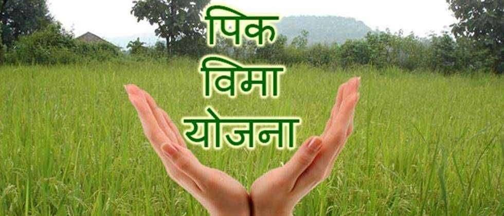 शेतकऱ्यांनी पिक विमा योजनेचा लाभ घेण्याचे आवाहन