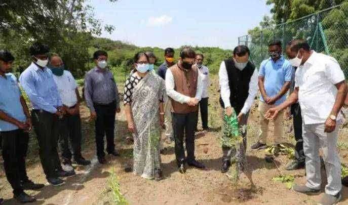 'घनवन‘ प्रकल्पांतर्गत वृक्षरोपणास प्रारंभ